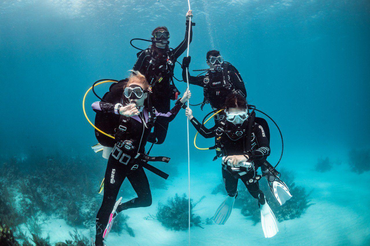 Equipo de buzos trabajando juntos bajo el agua